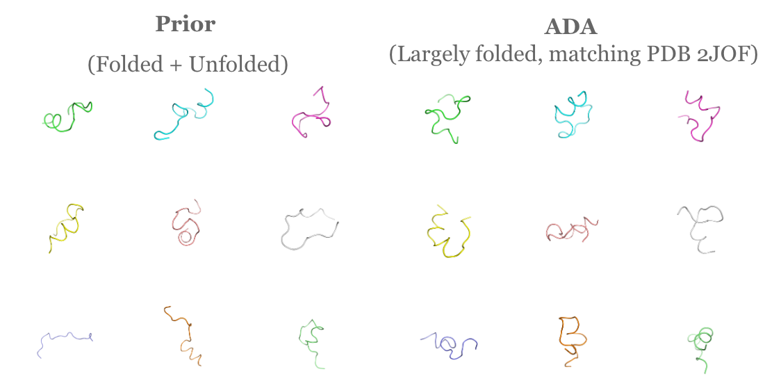 Aligned protein conformations